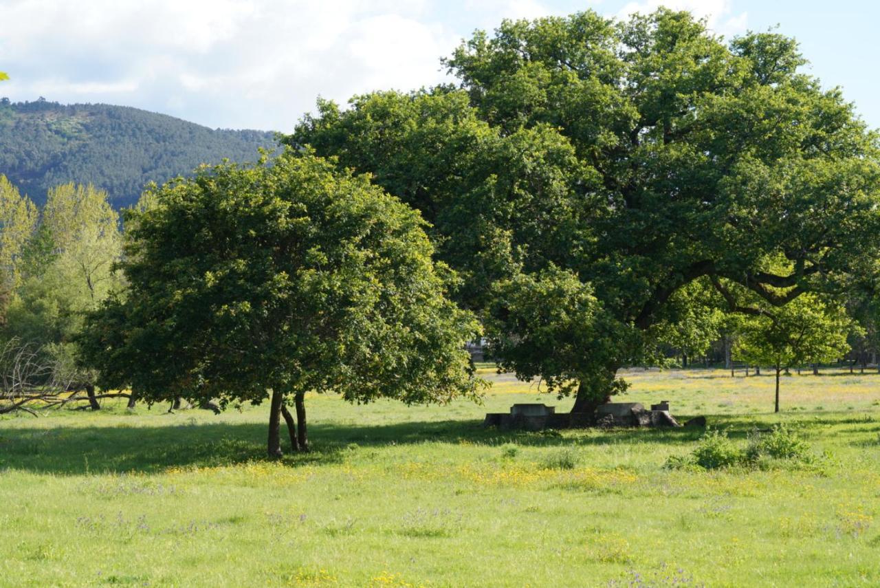 Quinta Do Areal Leilighet Lousã Eksteriør bilde