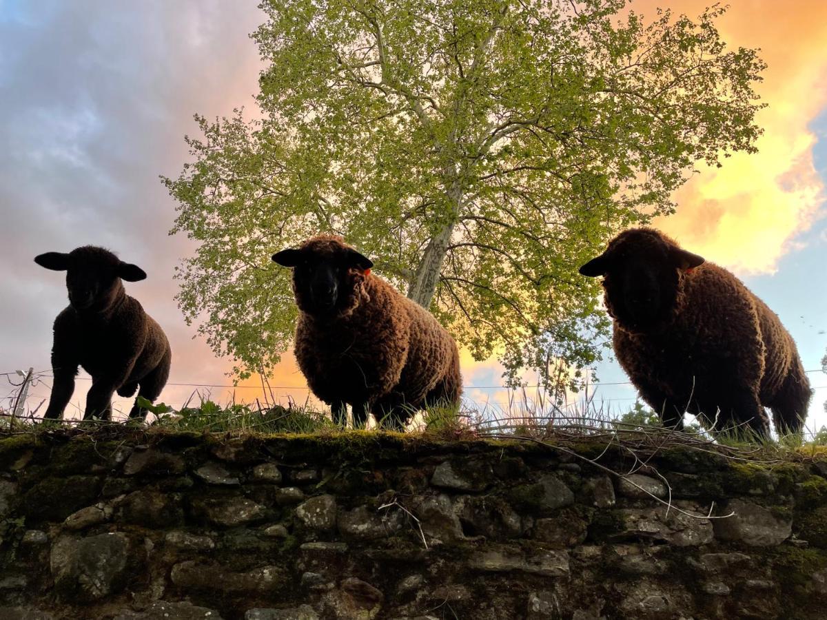 Quinta Do Areal Leilighet Lousã Eksteriør bilde