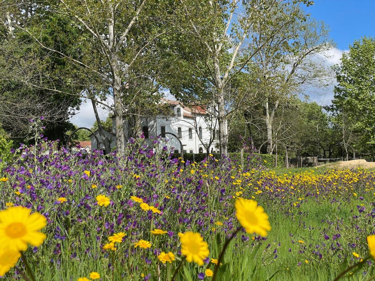Quinta Do Areal Leilighet Lousã Eksteriør bilde